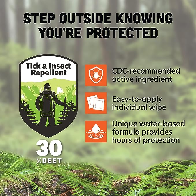 Ben's 30% DEET Mosquito, Tick and Insect Repellent Wipes 12ct