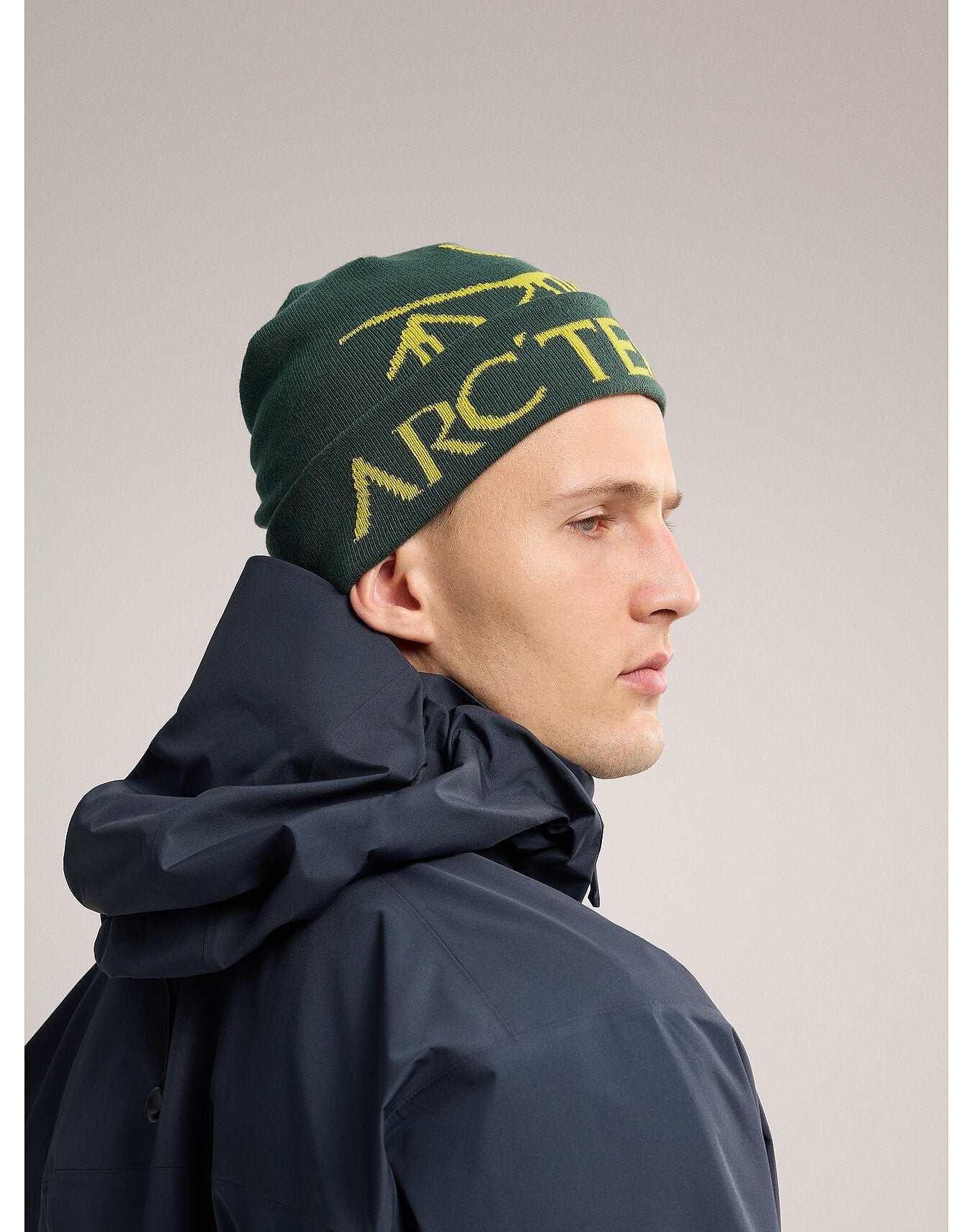 Arc'teryx Bird Word Toque