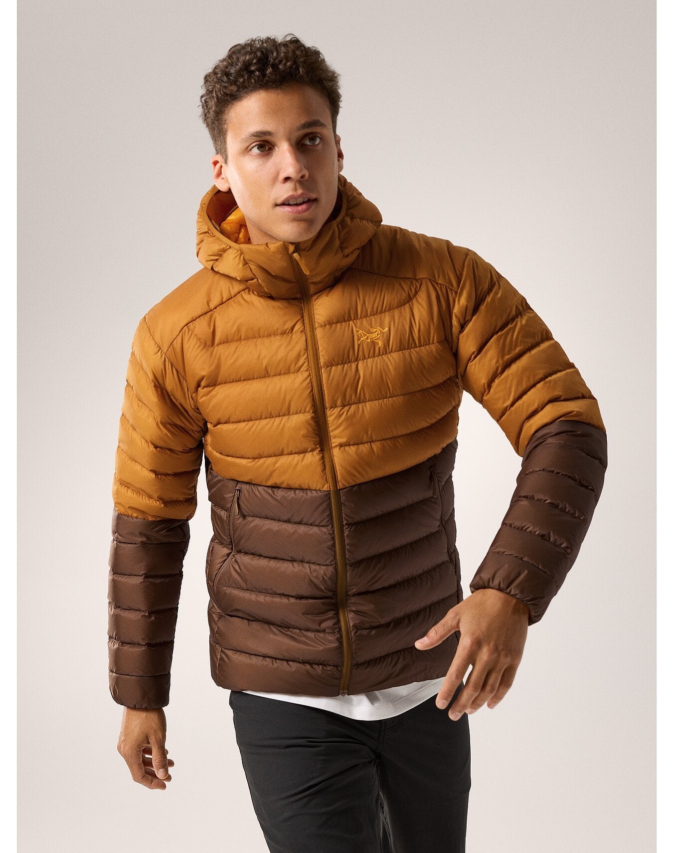 Arc'teryx Men's Cerium Hoody