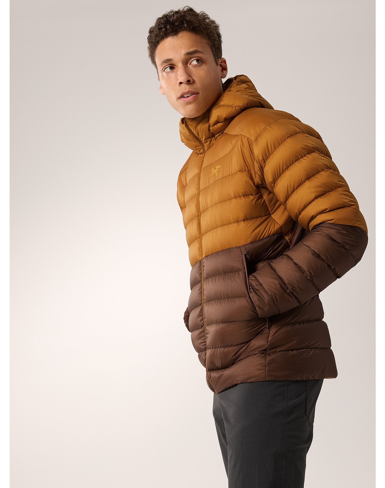 Arc'teryx Men's Cerium Hoody
