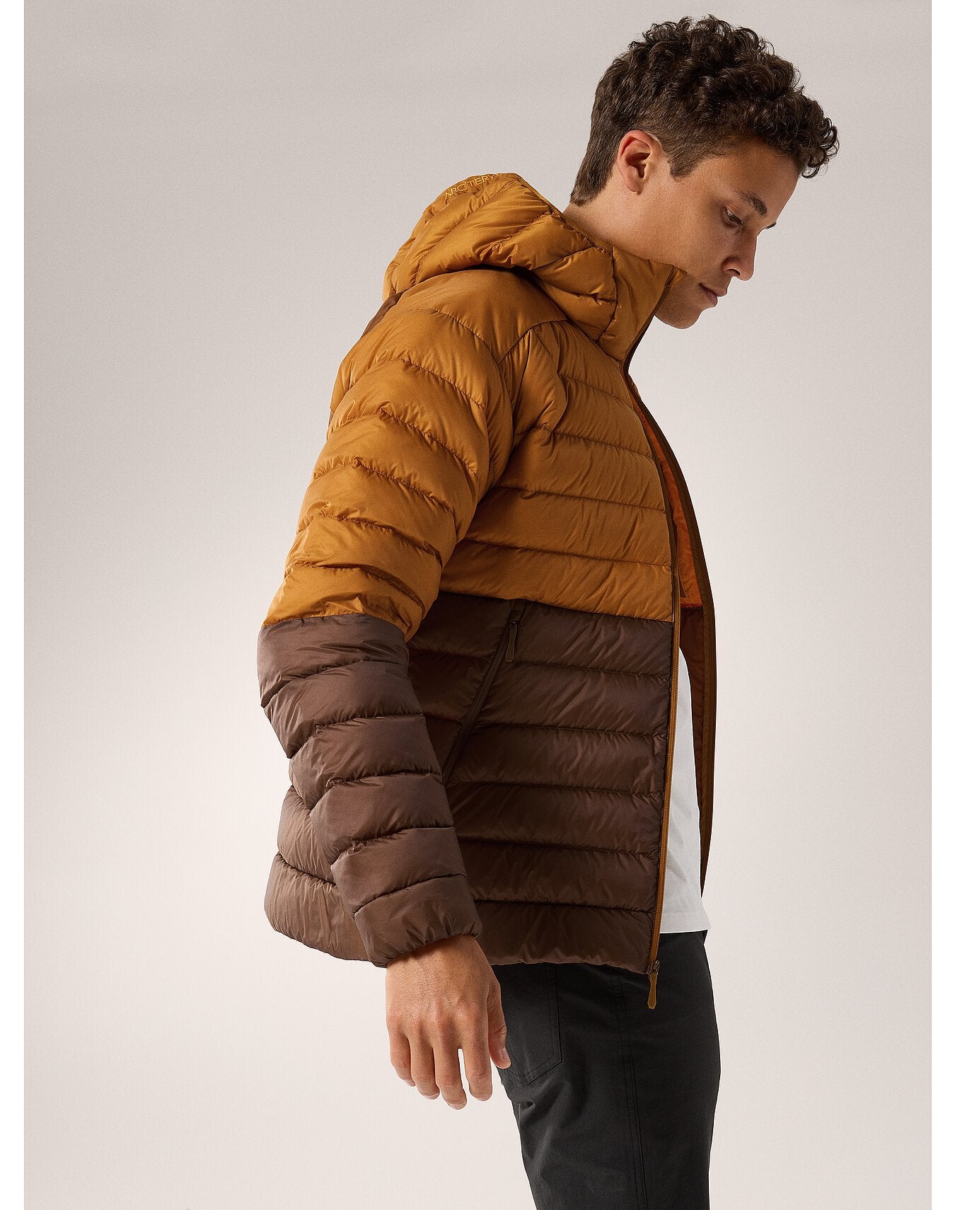 Arc'teryx Men's Cerium Hoody