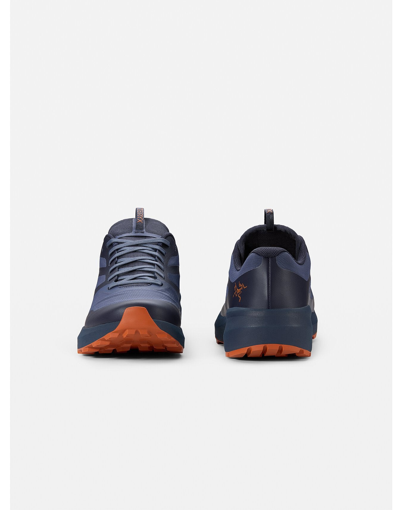 Arc'teryx Men's Norvan LD 3