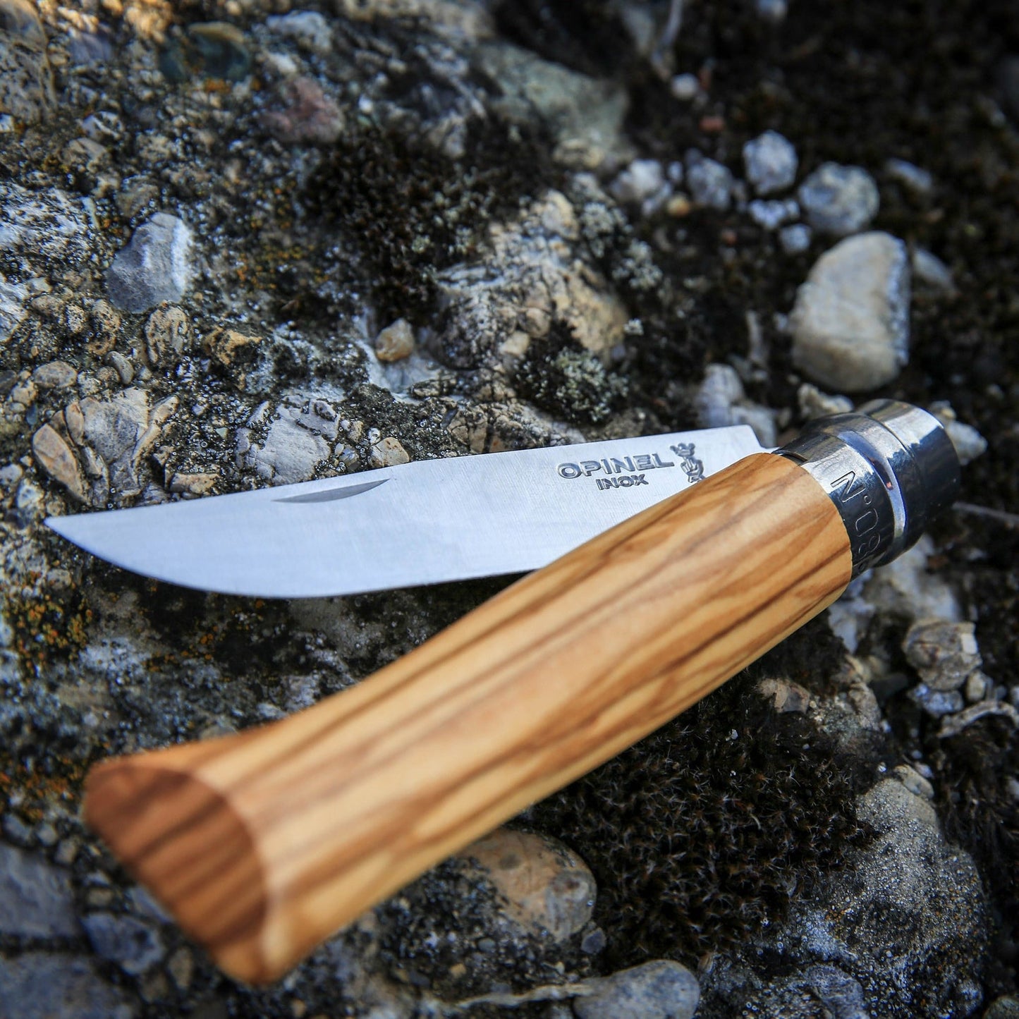 Opinel No. 08 Olive Wood Folding Knife with Sheath