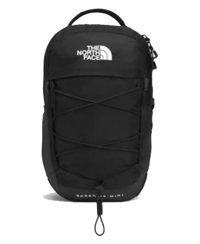 Graag gedaan Pardon zwanger The North Face Borealis Mini Backpack – OutdoorsInc.com