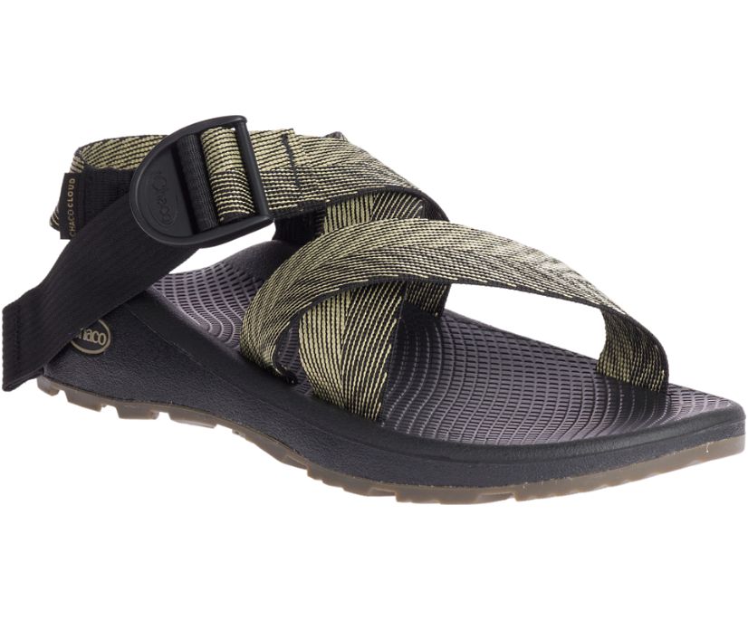 Chaco Men's Mega Z/Cloud - Odds Black