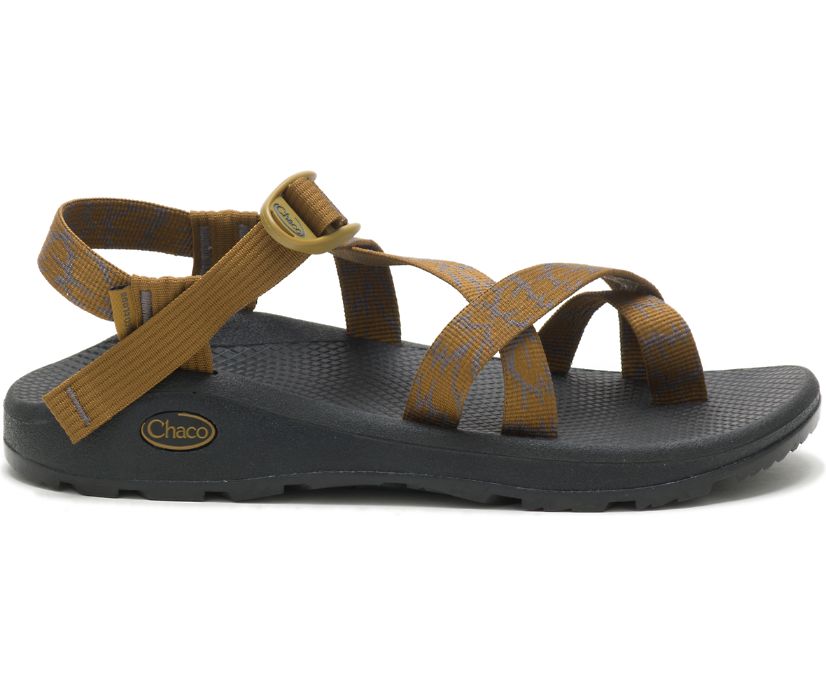 Chaco Men's Z/Cloud 2