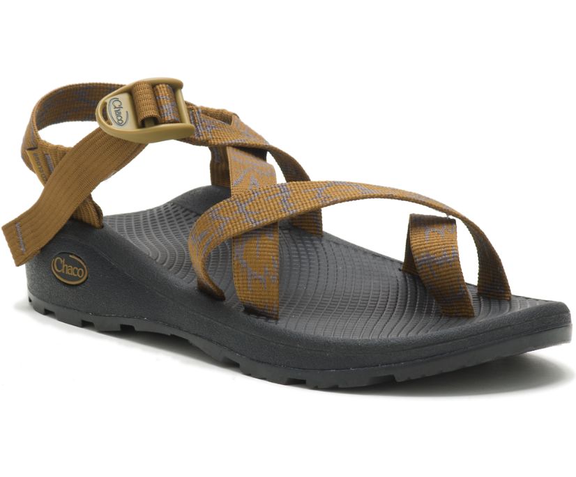 Chaco Men's Z/Cloud 2
