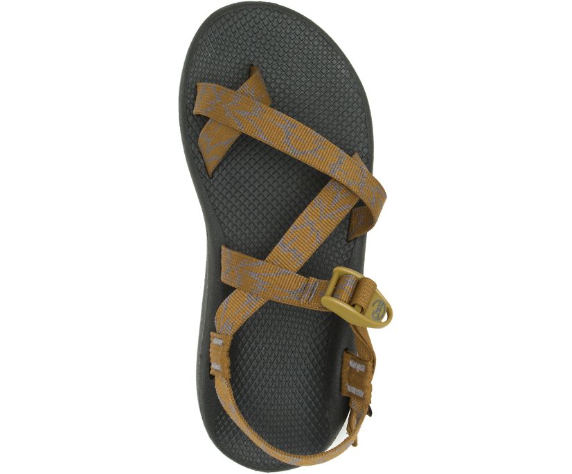 Chaco Men's Z/Cloud 2