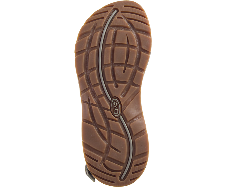 Chaco Women's Z/Cloud - Moon Rock