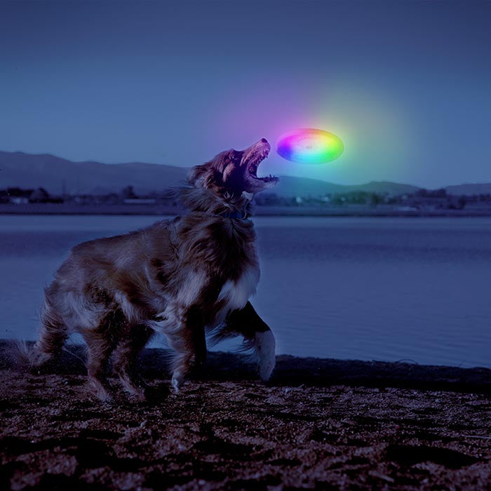 Nite Ize FlashFlight Dog Discuit LED Flying Disc