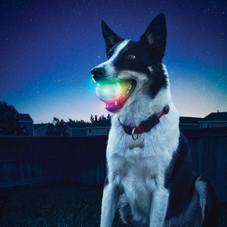 Nite Ize GlowStreak® LED Ball - Disc-O