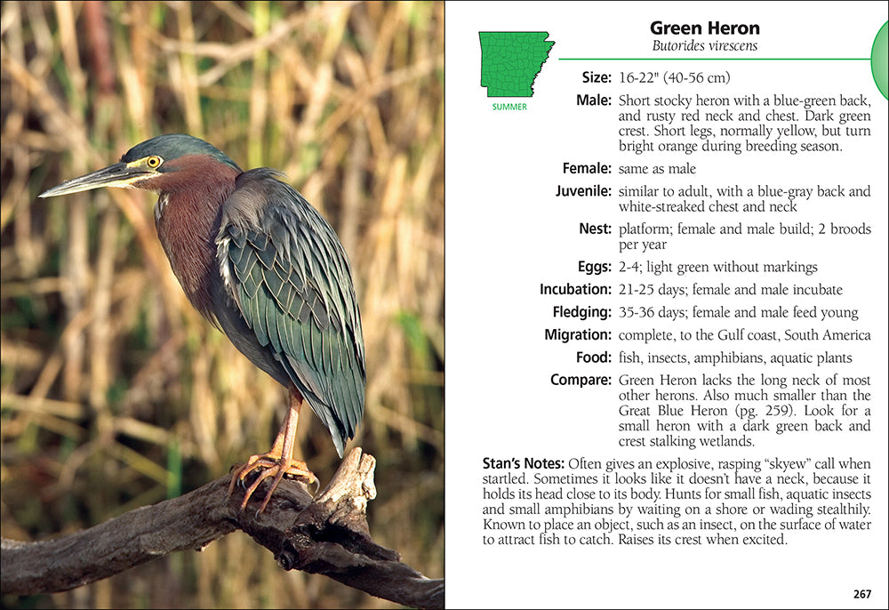 Birds of Arkansas Field Guide