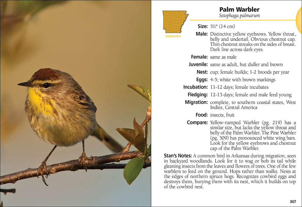 Birds of Arkansas Field Guide