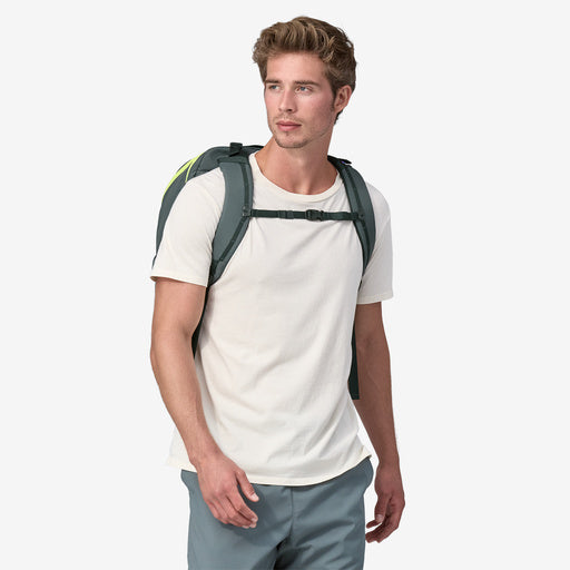 Patagonia Refugio Day Pack 30L
