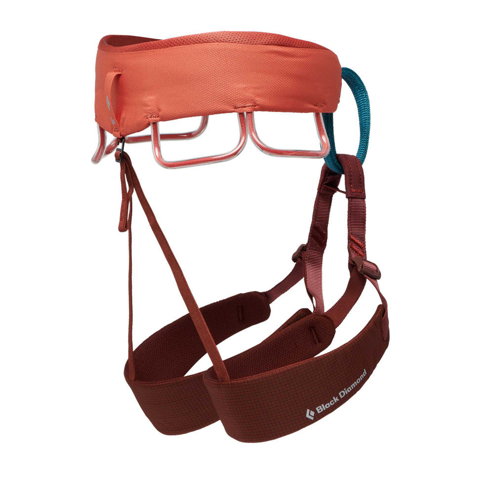 Black Diamond Women's Momentum Harness