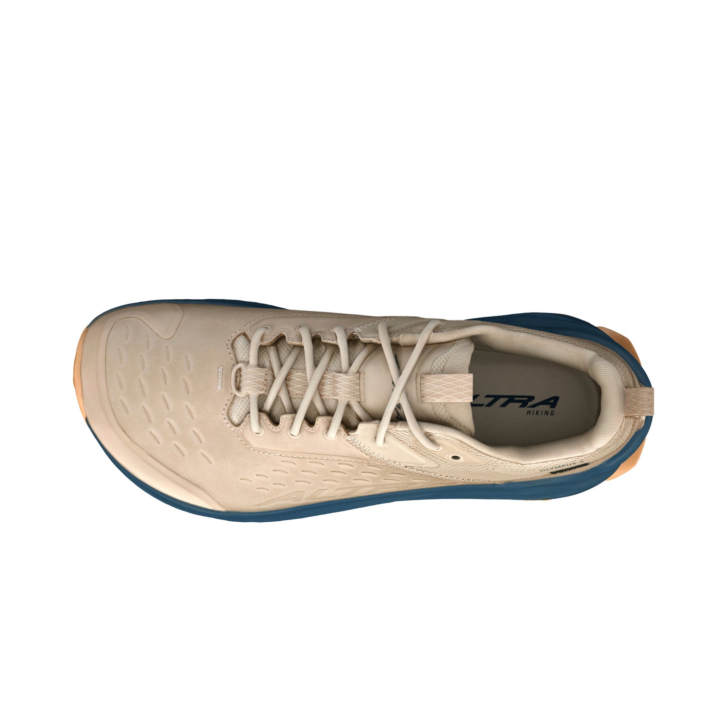 Altra Men's Olympus 6 Hike Low GTX