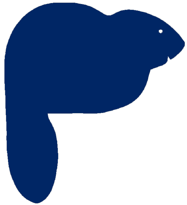 Outdoors, Inc.  Your local gear shop since 1974. 