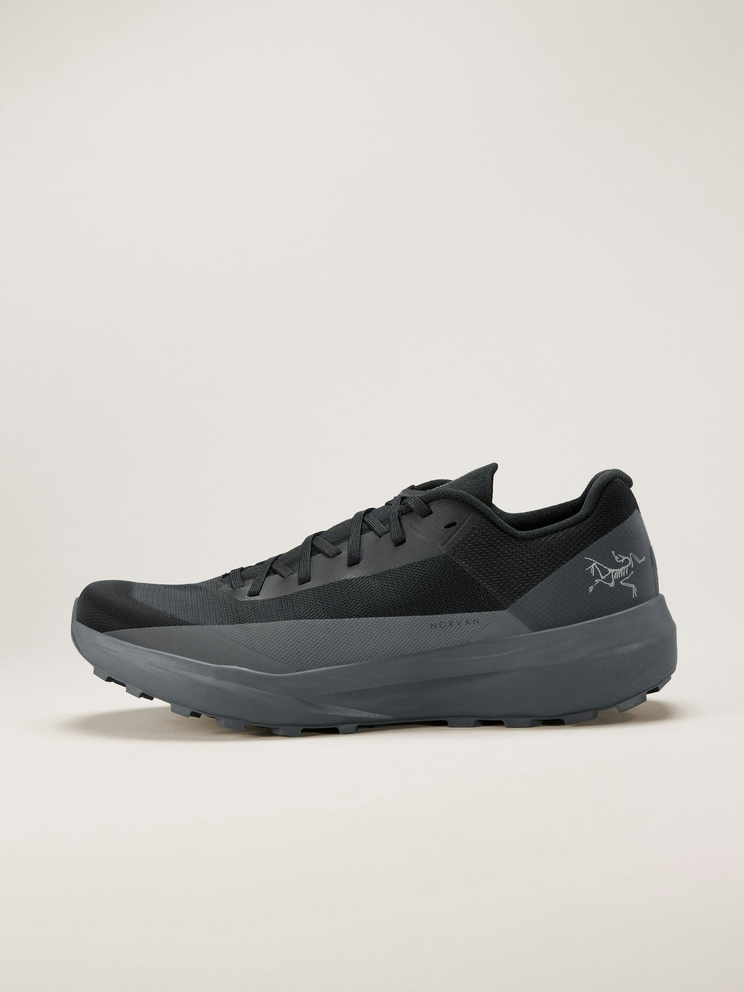 Arc'teryx Men's Norvan LD 4