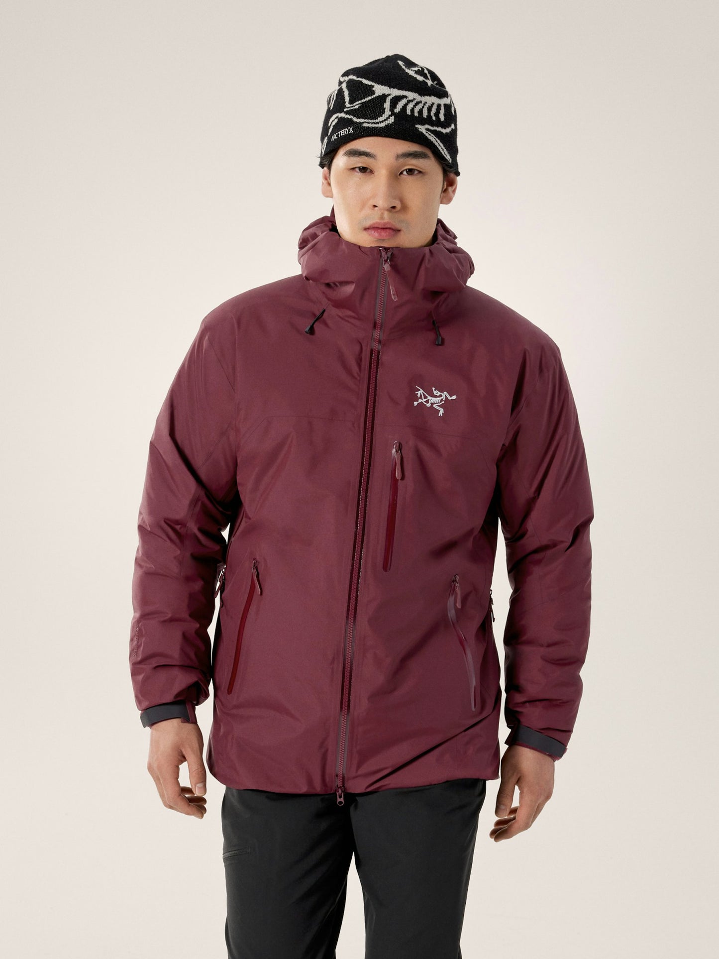 Arc'teryx Men's Beta Insulated Jacket