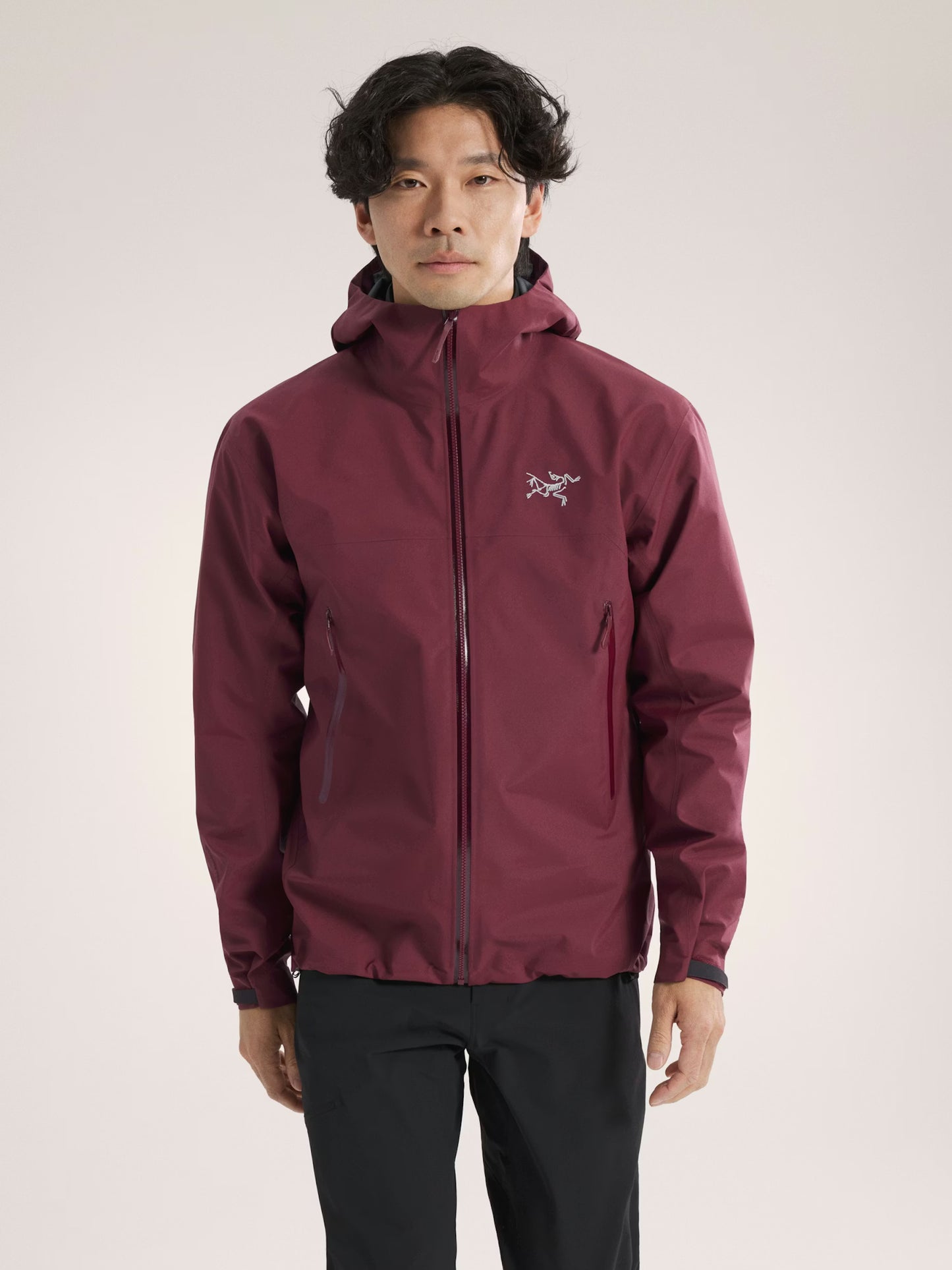 Arc'teryx Men's Beta Jacket