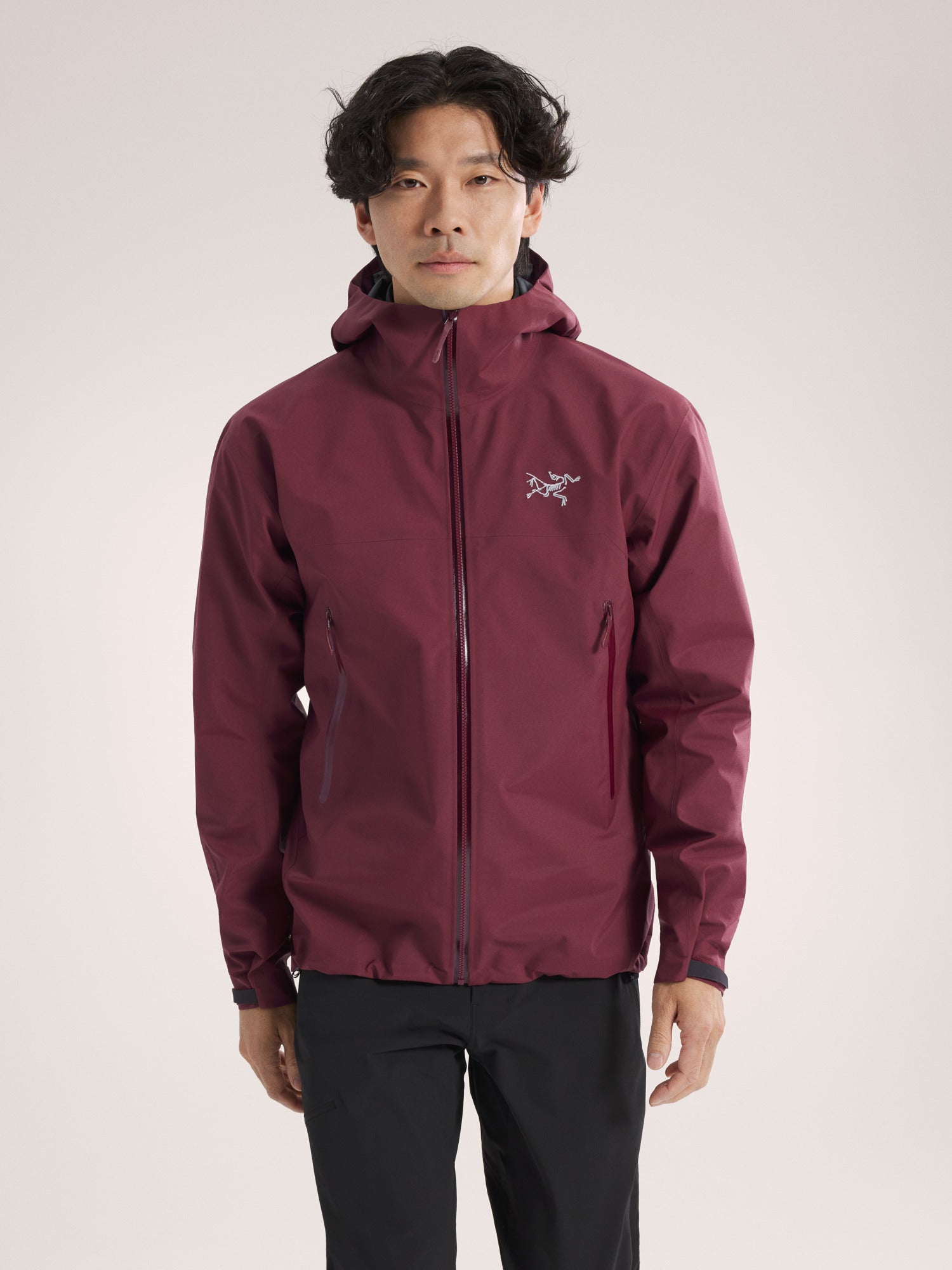 Arc'teryx Men's Beta Jacket – Outdoors Inc