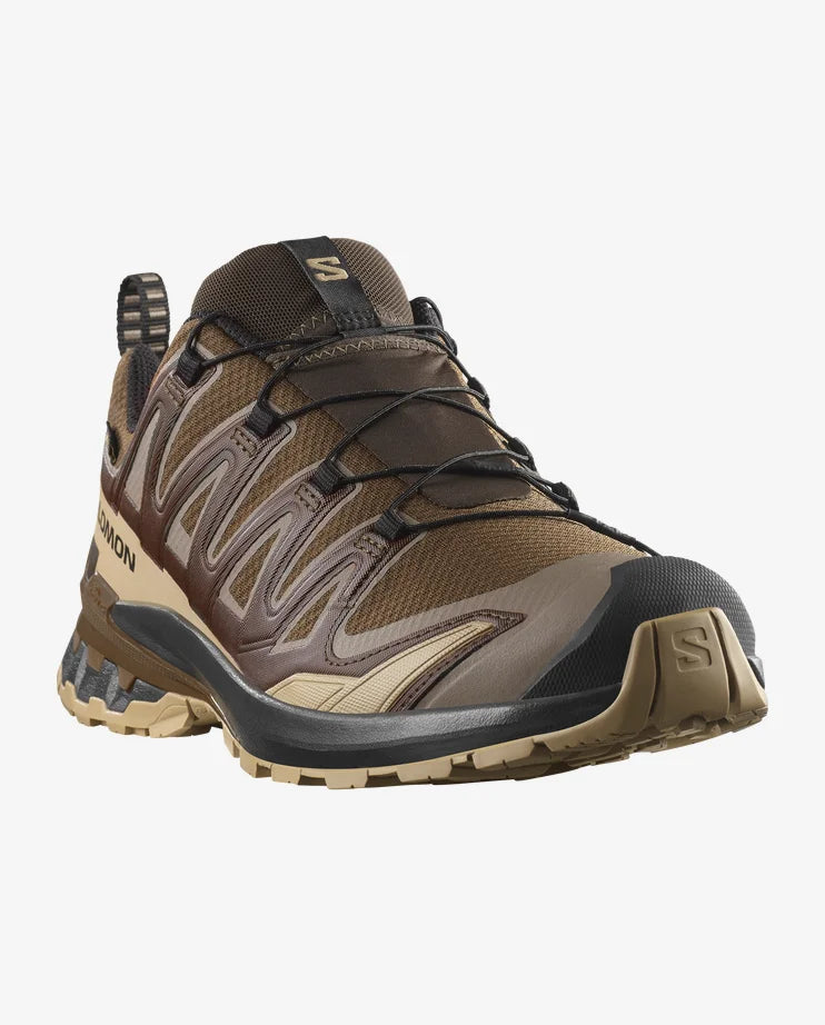 Salomon Men's XA Pro 3D V9 GTX
