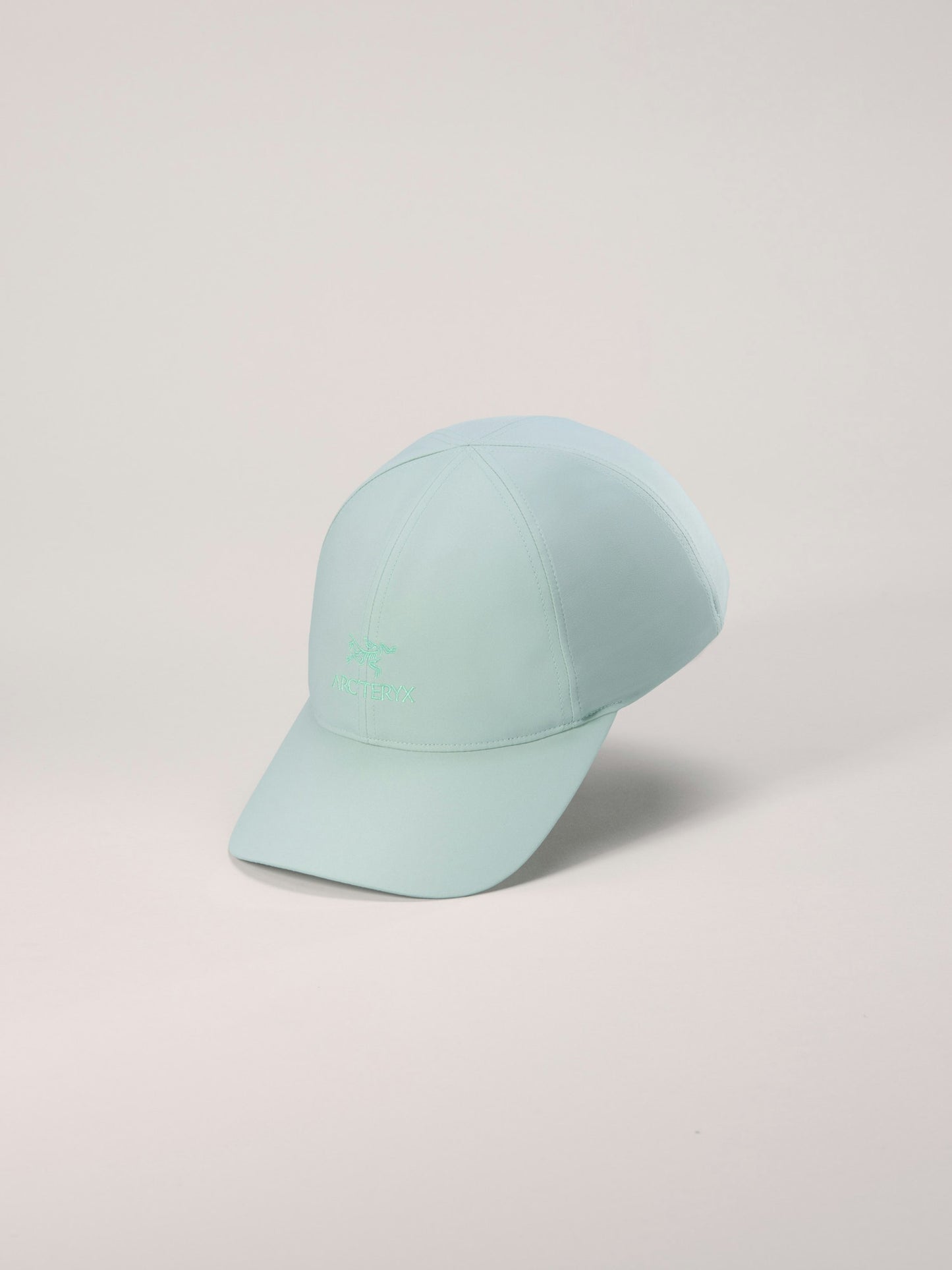 Arc'teryx Bird Word Cap