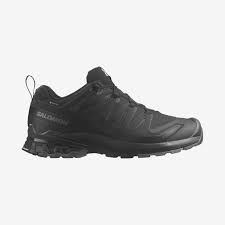 Salomon Men's XA Pro 3D V9 GTX - OutdoorsInc.com