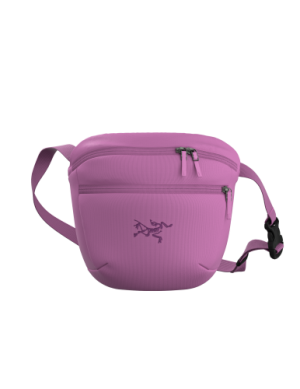 Arc'teryx Mantis 2 Waistpack