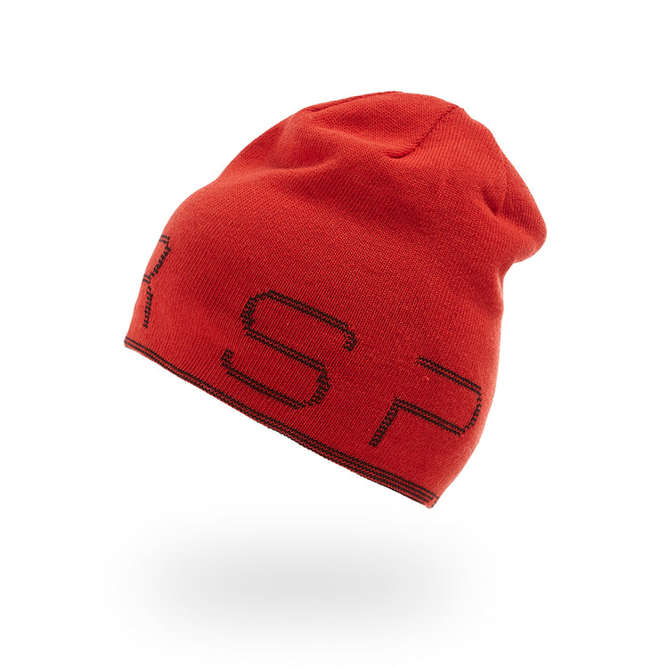 Spyder Big Boy's Reversible Bug Beanie