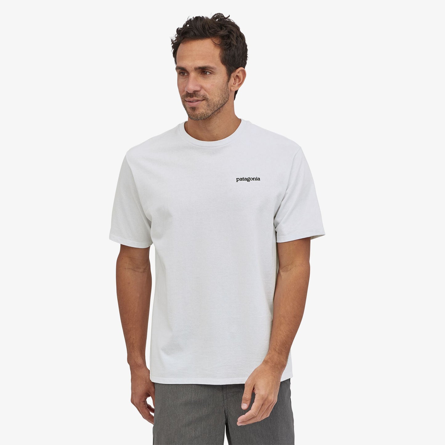Patagonia Men's Fitz Roy Horizons Responsibili-Tee