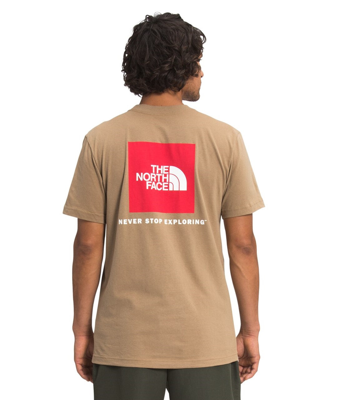 The North Face Men's SS Box NSE Tee