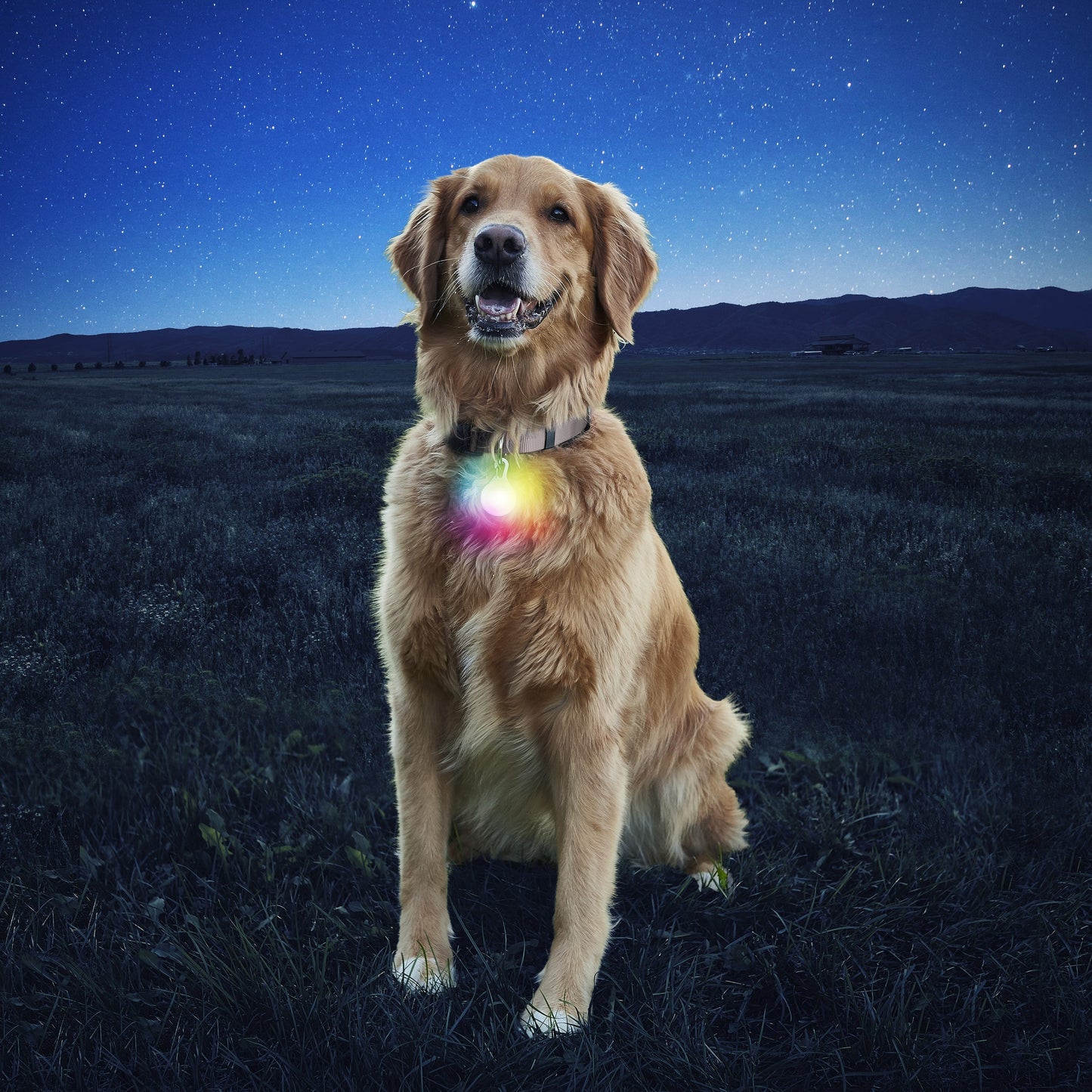 Night Ize SpotLit Collar Light