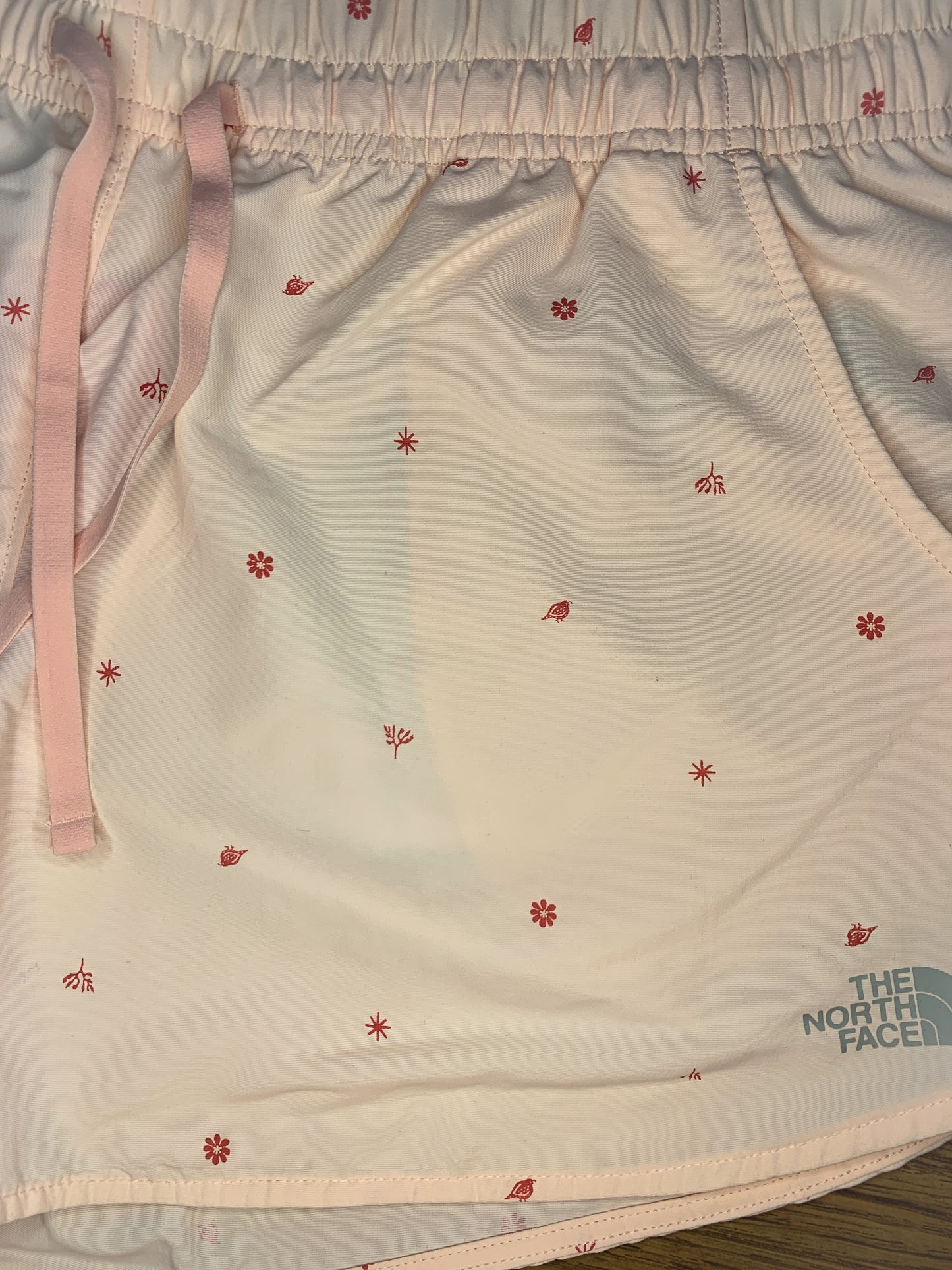 The North Face Women's Class V Shorts