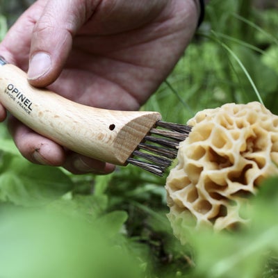 Opinel No. 08 Stainless Steel Mushroom Knife