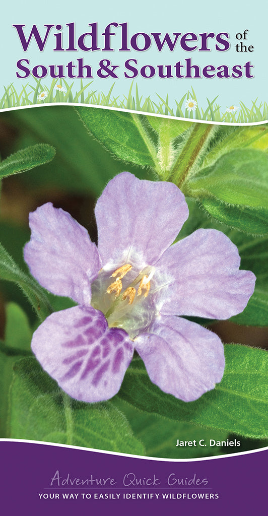 Wildflowers of the South & Southeast